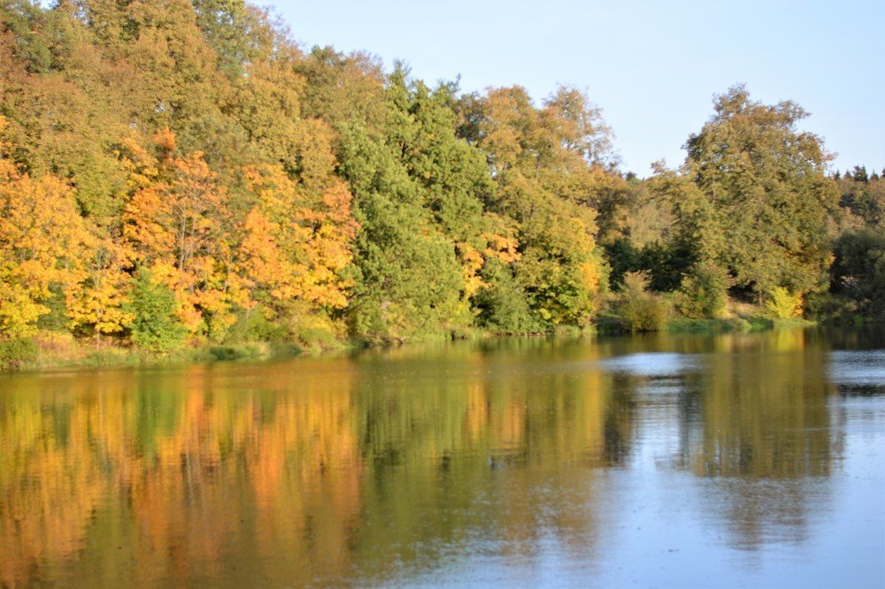 Photograph by Марина Шевцова