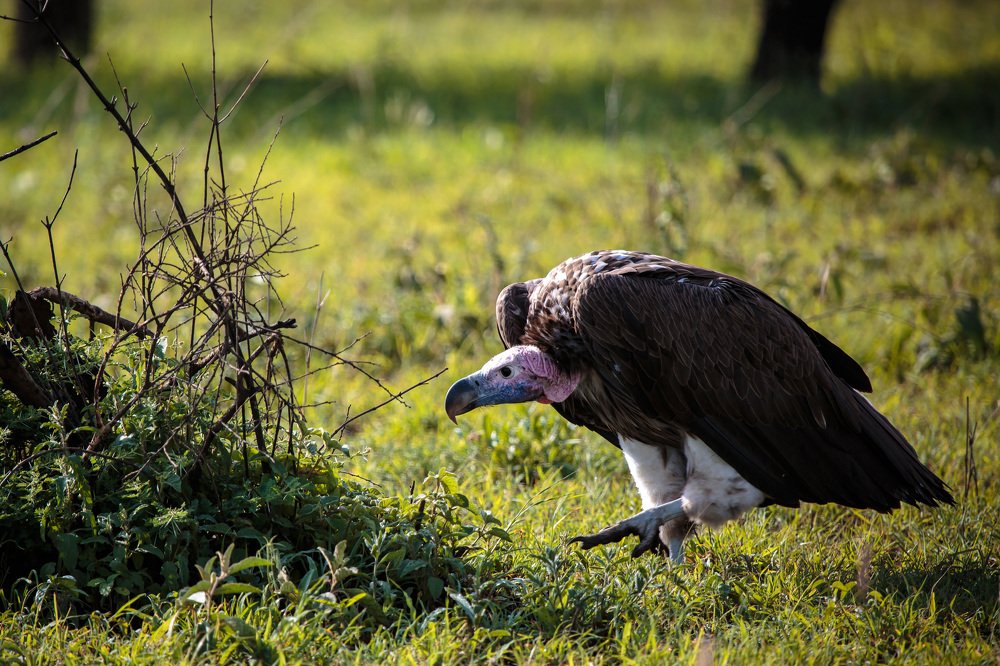 Photograph by Станислав Дроздов