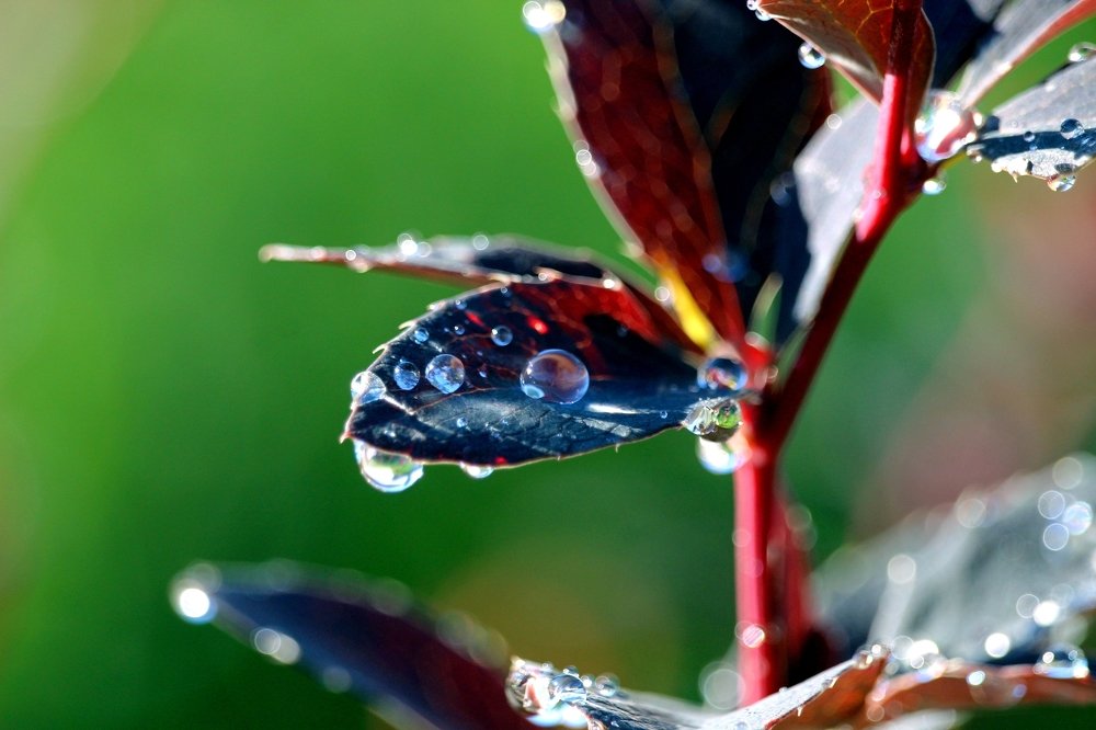 Photograph by Галина Мазур