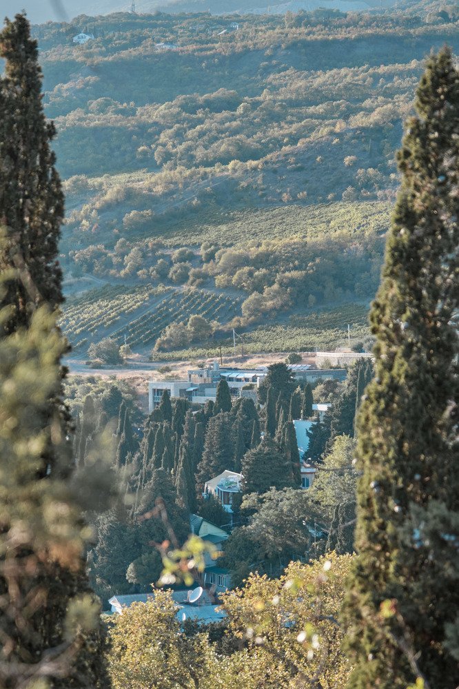 Photograph by Vitaliy