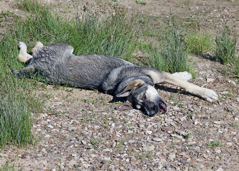 Photograph by Александр Бугаенко