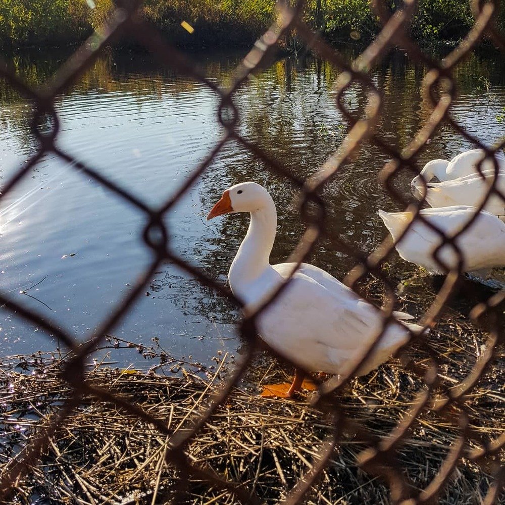 Photograph by Диана Бикмухаметова