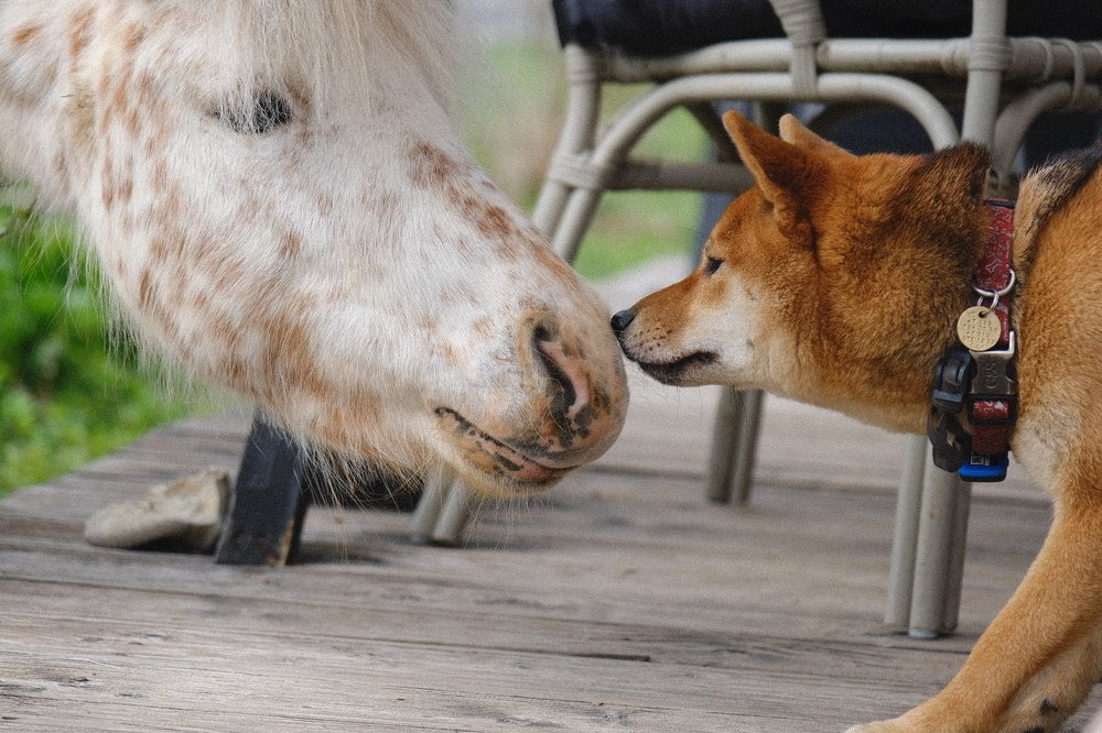 Photograph by Vitaliy