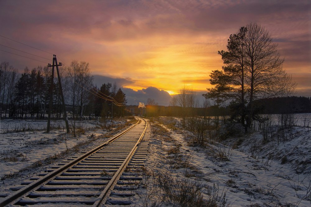 Photograph by Румянцев Алексей