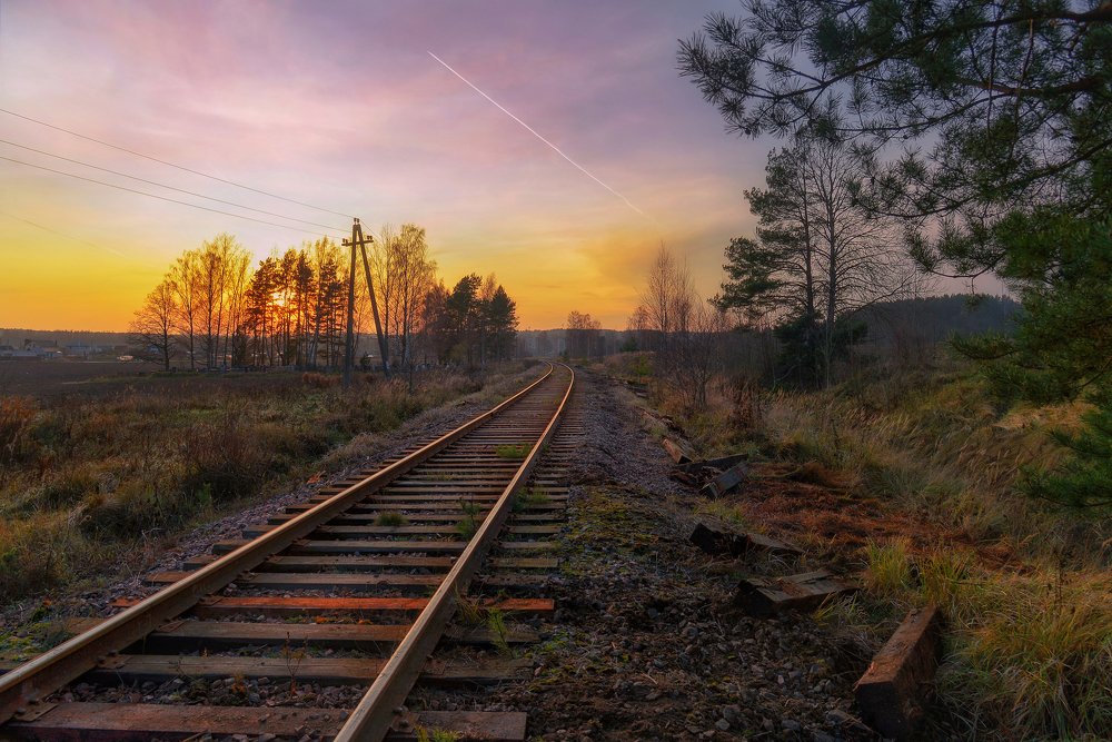 Photograph by Румянцев Алексей