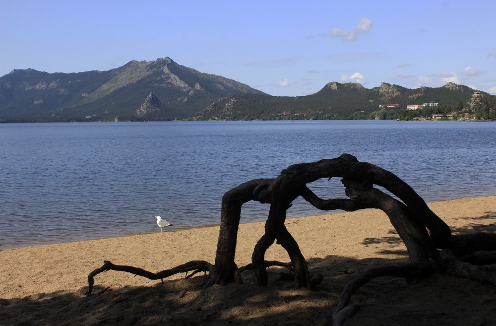 Photograph by Аля Портных