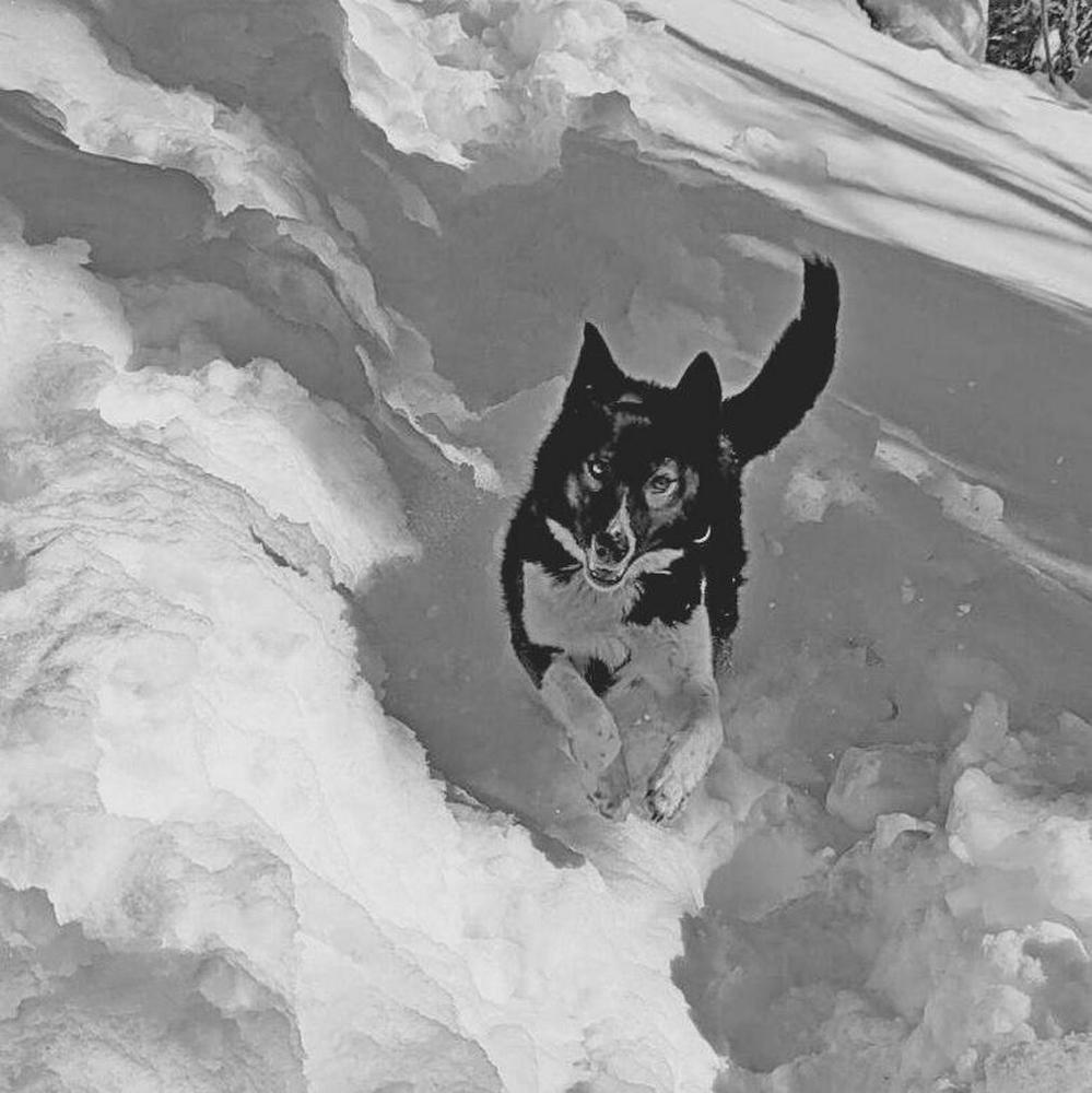 Photograph by Анна Горичева