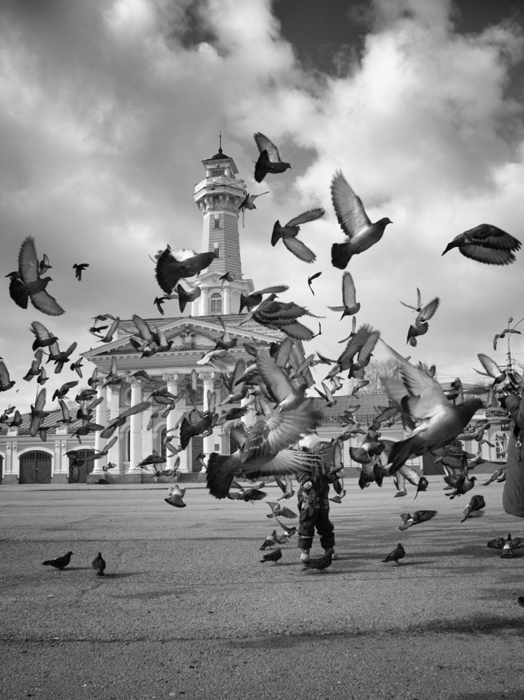 Photograph by Балакин Евгений