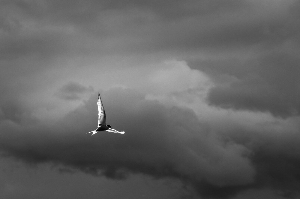 Photograph by Балакин Евгений