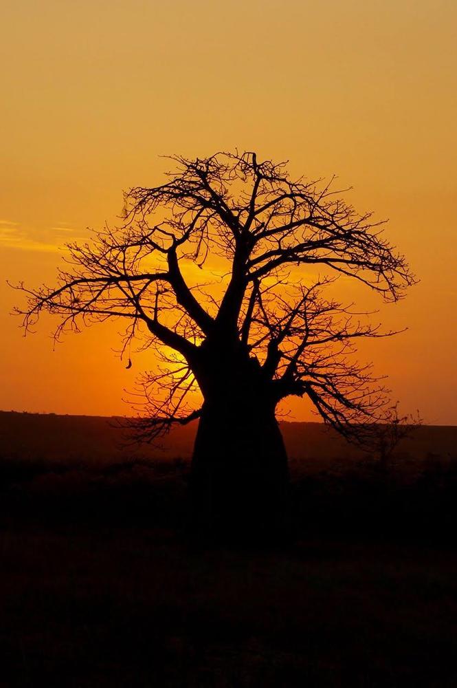 Photograph by Ricardo Coelho