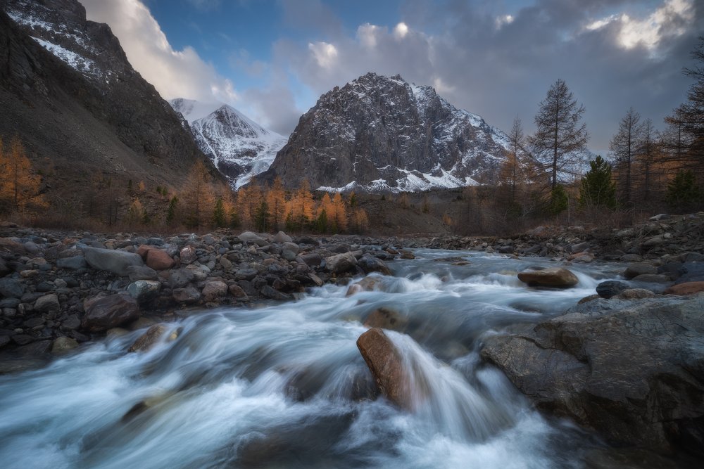 Студеные воды осени