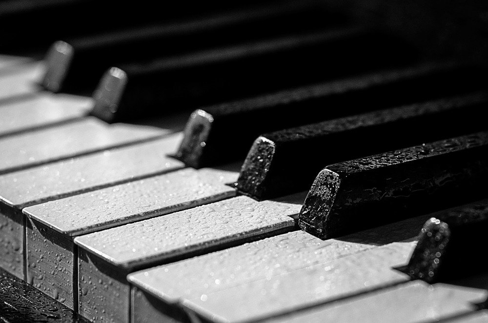 Photograph by Ольга Масольд