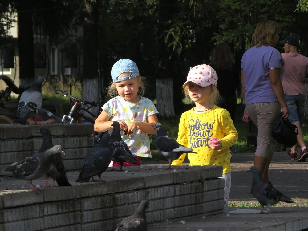 Любовь и голуби