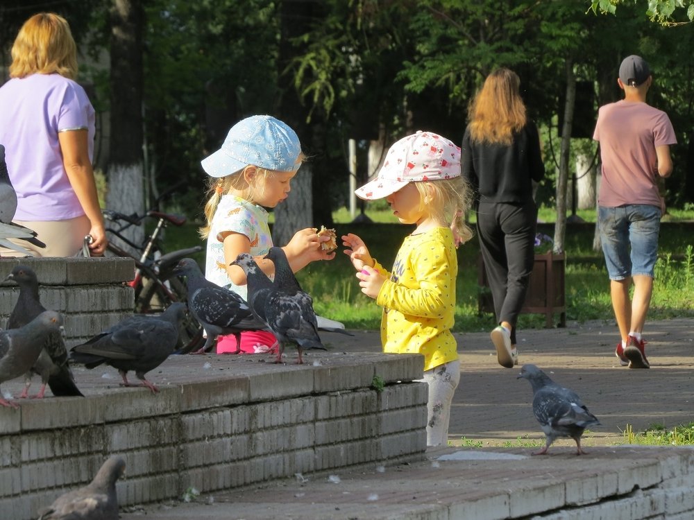 Любовь и голуби