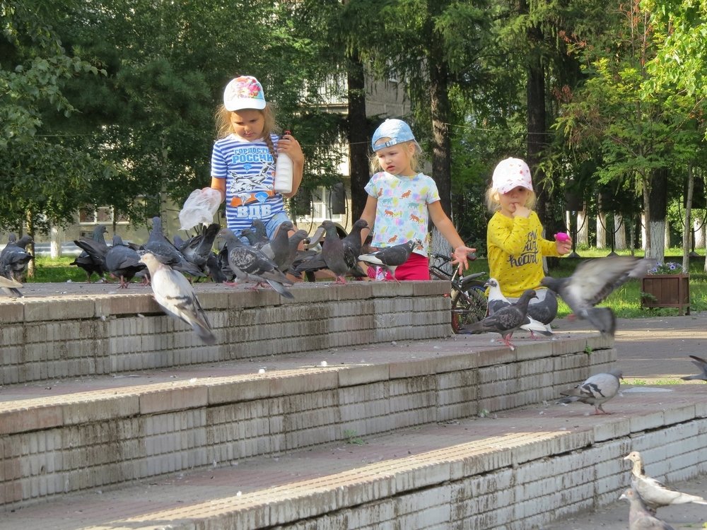 Любовь и голуби