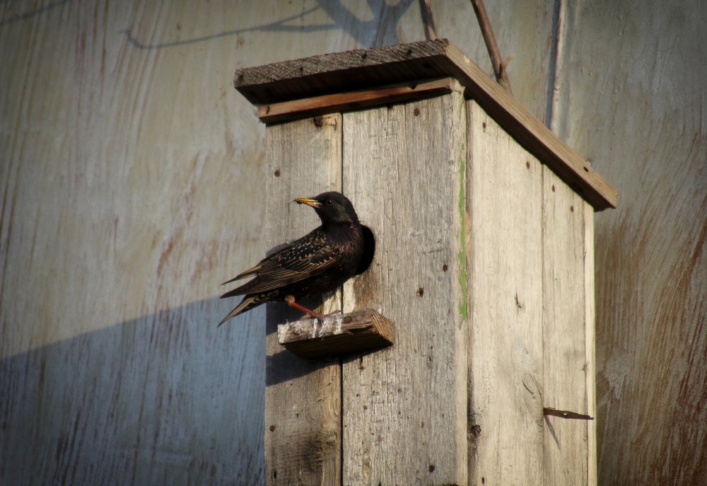 Photograph by Эльза Давлеева