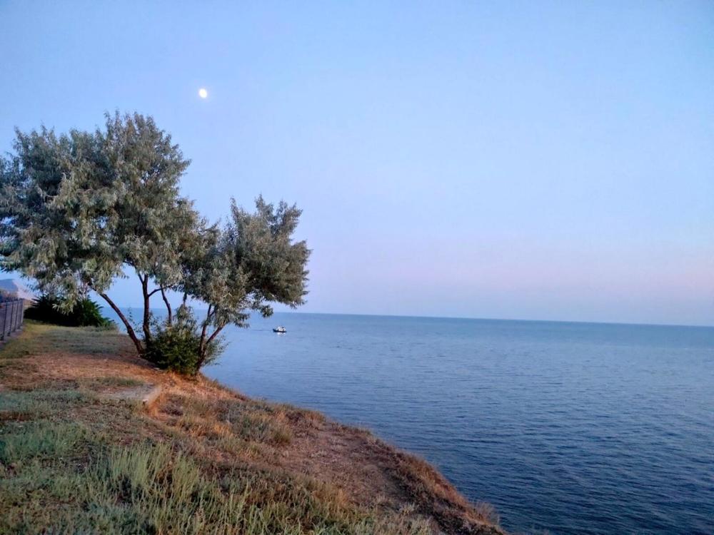 Photograph by Анна Горичева