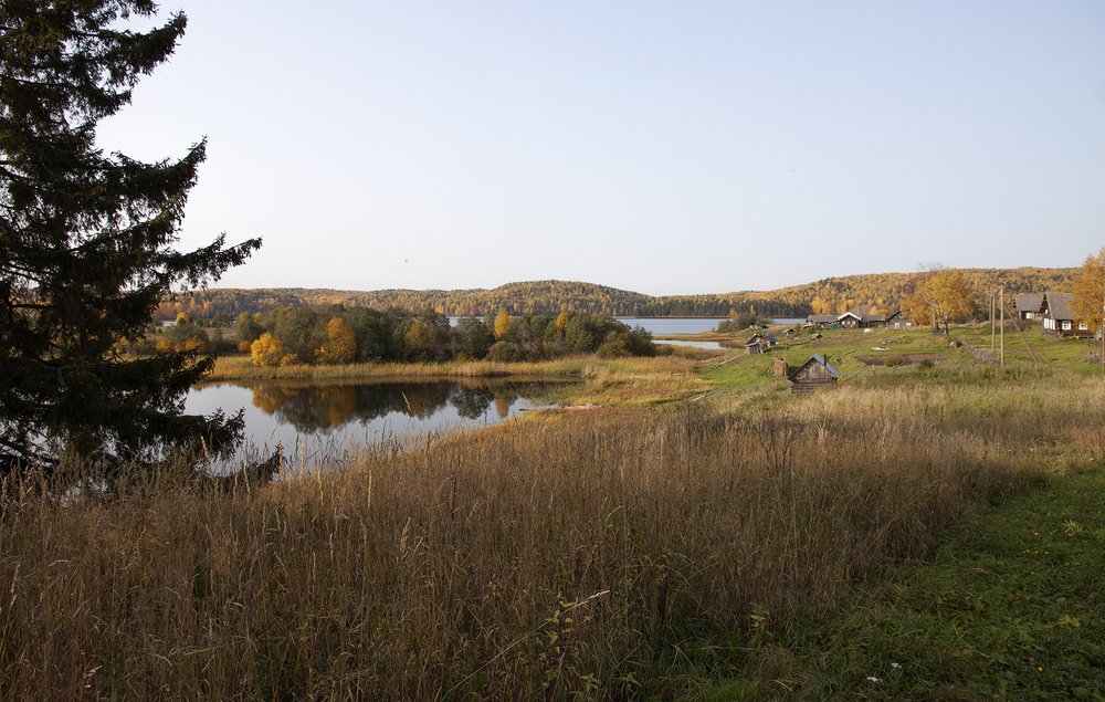 Photograph by Галина Щипакина