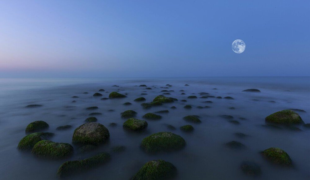 Фотография автора Mansoor Heydaryan