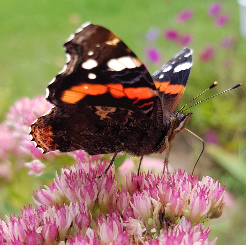 Photograph by Татьяна Козлова