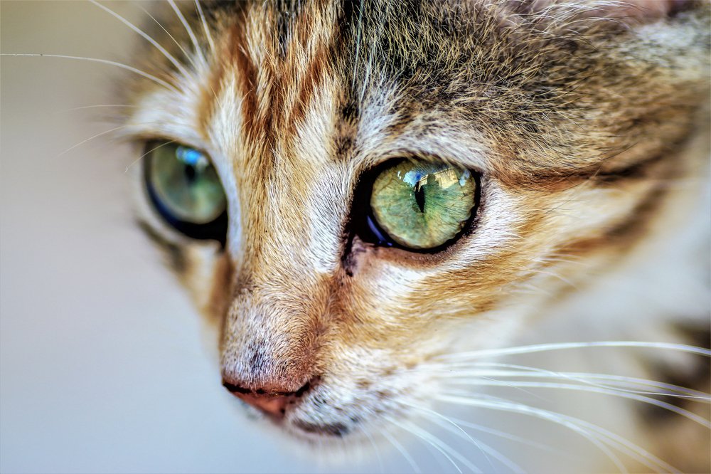 Photograph by Odysseas Christofides