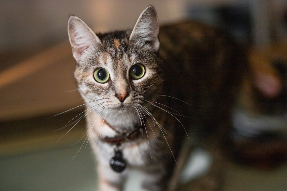 Photograph by Мария Рослякова