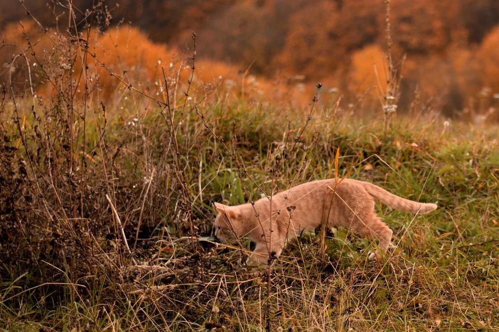 Photograph by Ирина Ященко