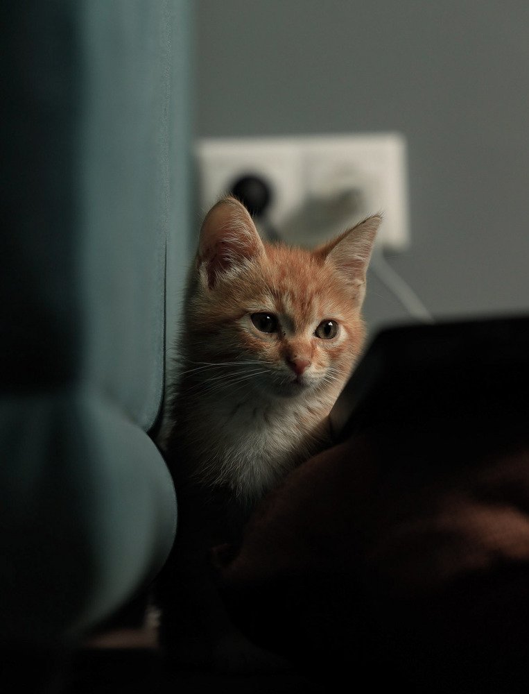 Photograph by Владимир Кульбит