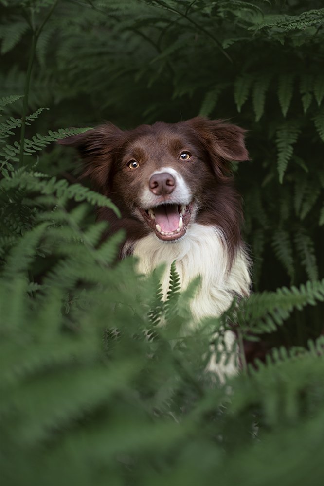 Photograph by Katarzyna Koludzka