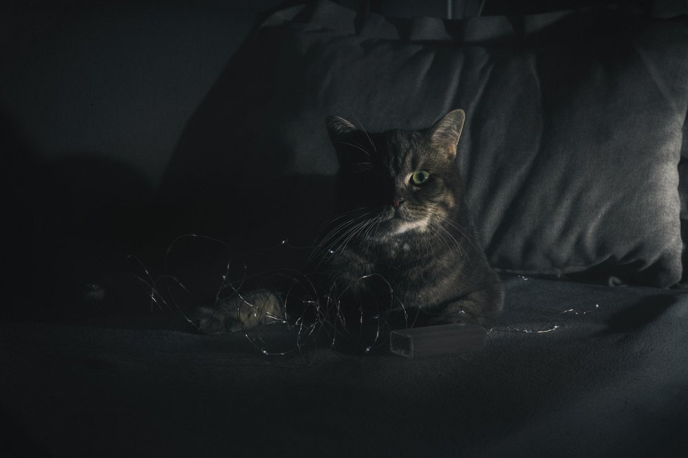 Photograph by Алексей Федоров