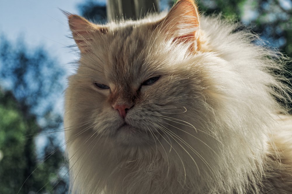 Photograph by Алексей Федоров