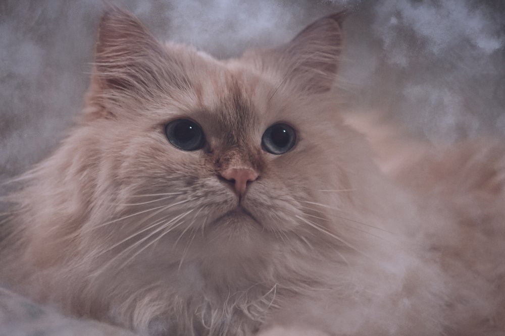 Photograph by Алексей Федоров