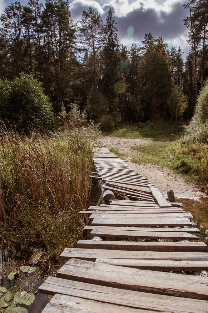 Photograph by Эльвира Сагдиева