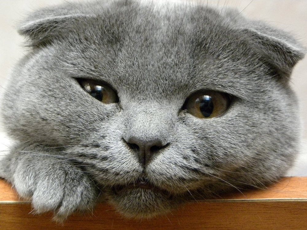 Photograph by Александр Малютин