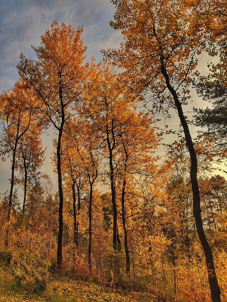 Фотография автора Виктор Крючков