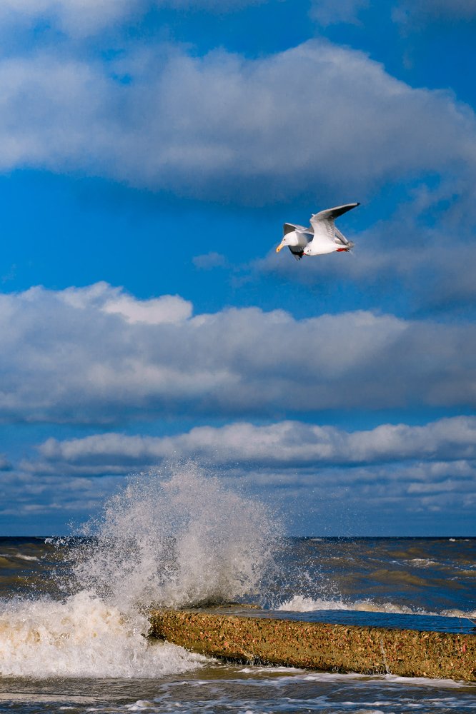 Всегда вместе