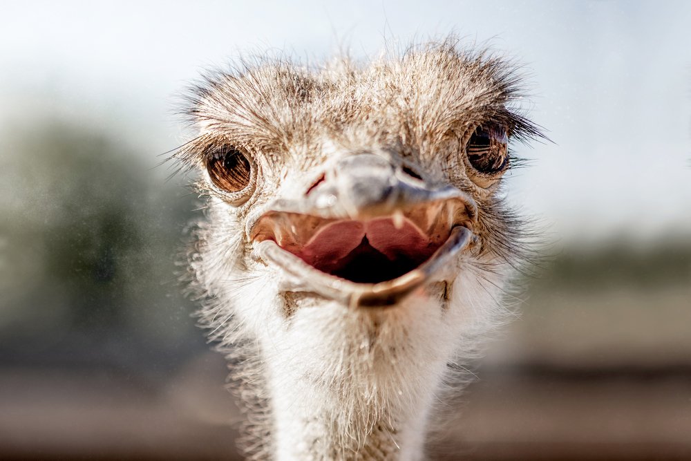 Photograph by Алексей Карпинчик