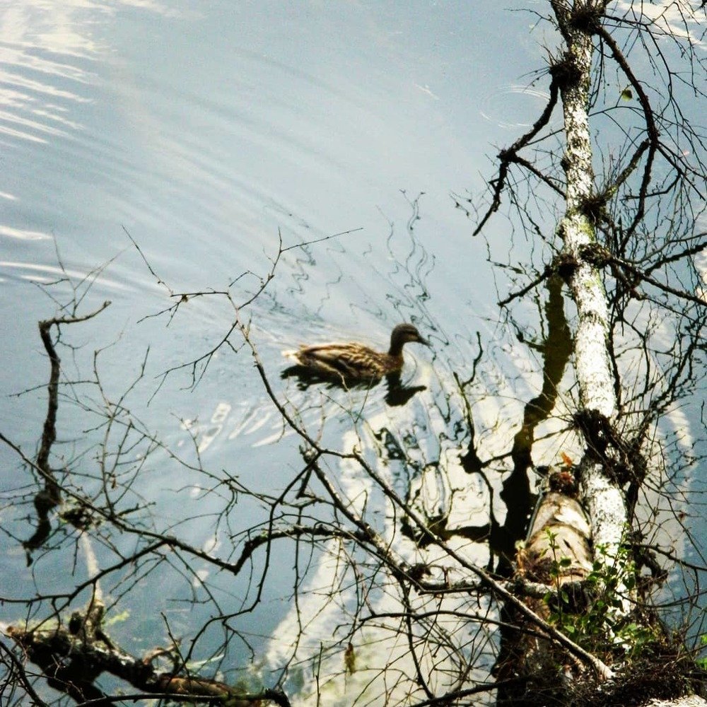 Photograph by Снежана Шепель