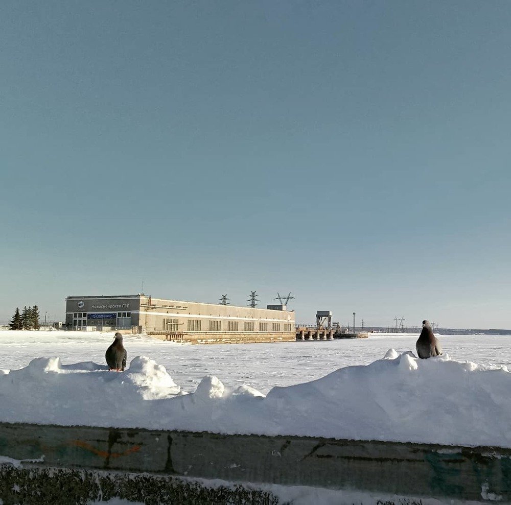 Photograph by Снежана Шепель