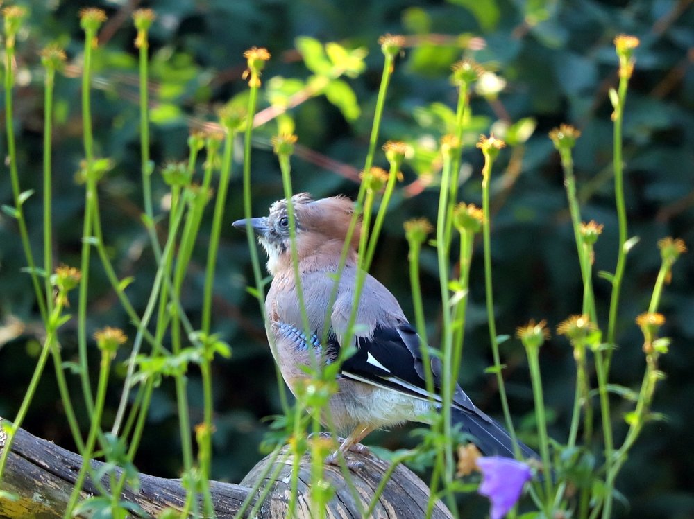 Photograph by Екатерина Мстиславская