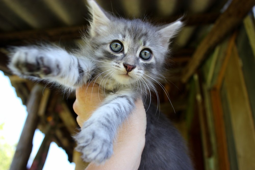 Photograph by Наталья Путилина