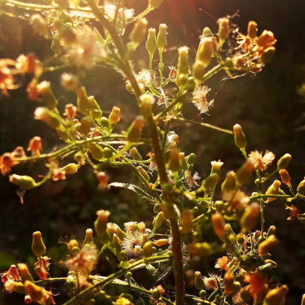 Photograph by Снежана Шепель