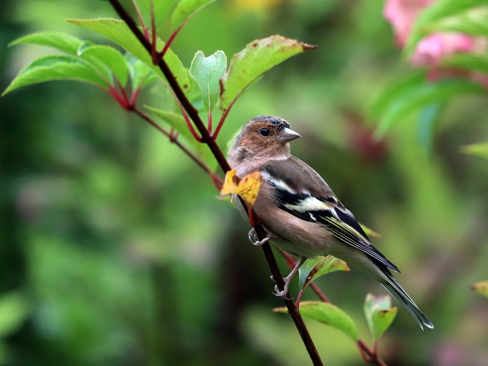 Photograph by Екатерина Мстиславская