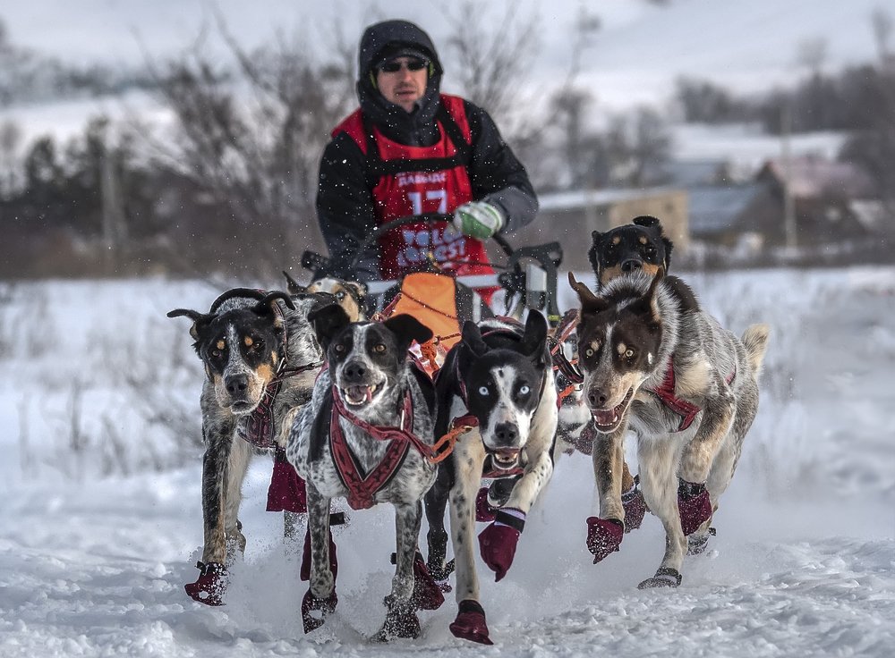 Photograph by олег кирюшкин