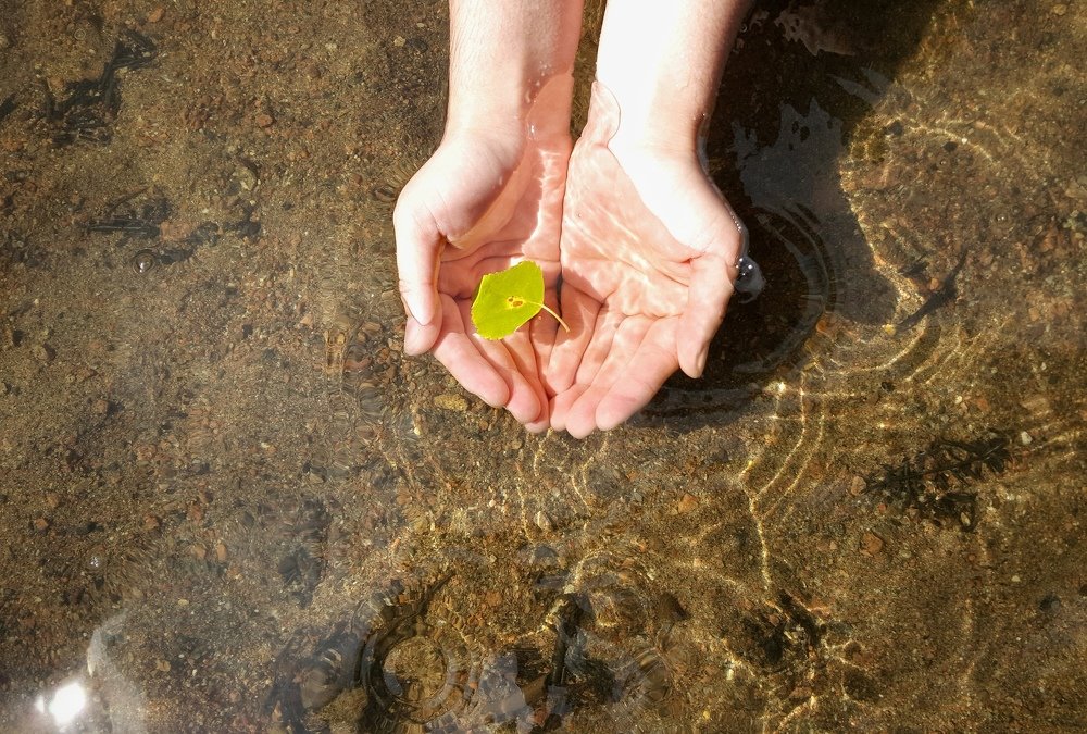 Photograph by Julia Andersen