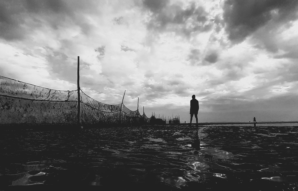 Photo #5005519