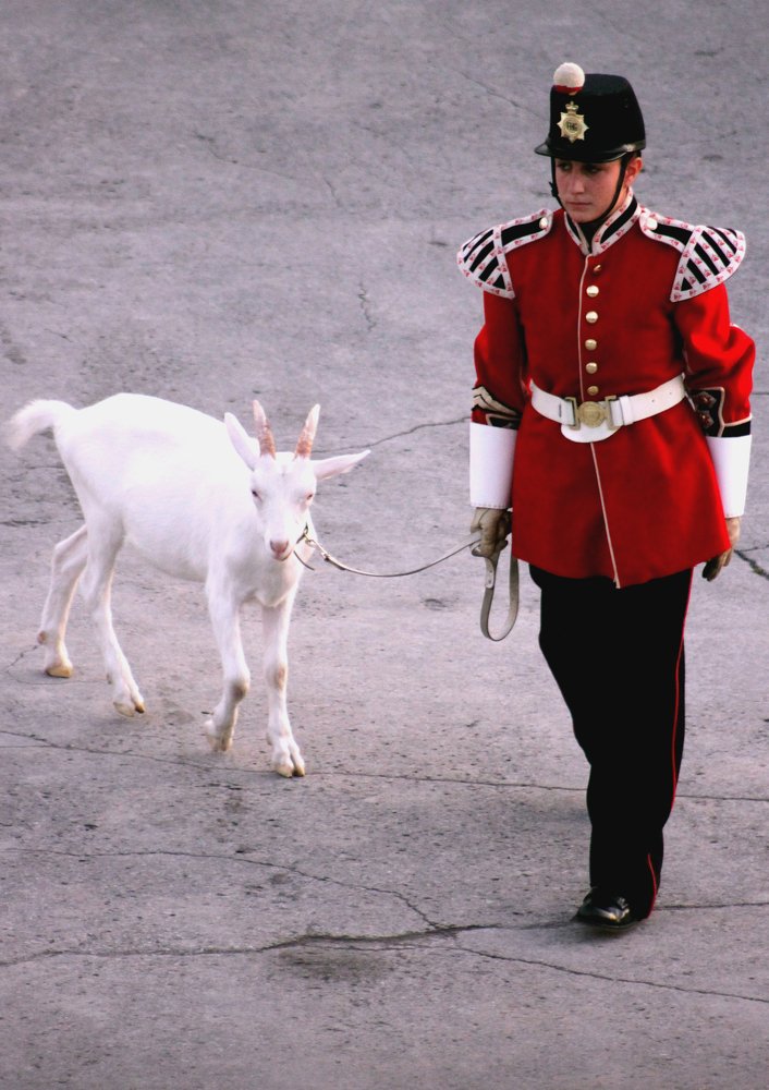 Photograph by ЗОЯ МЕДВЕДЕВА