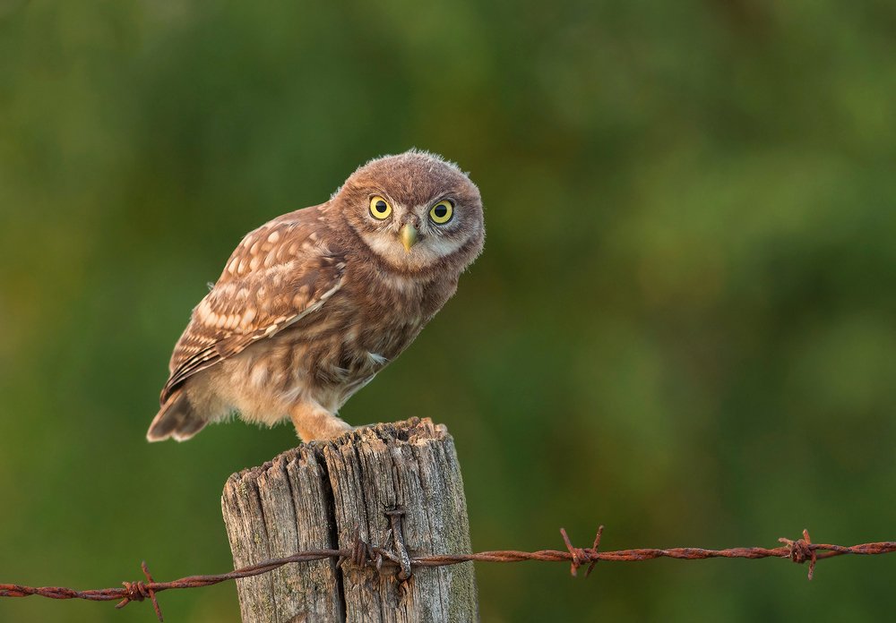 Photograph by Dariusz Dryl