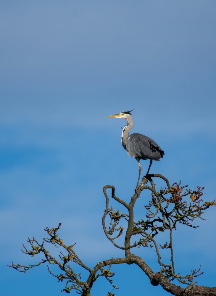 Фотография автора Anandhu M
