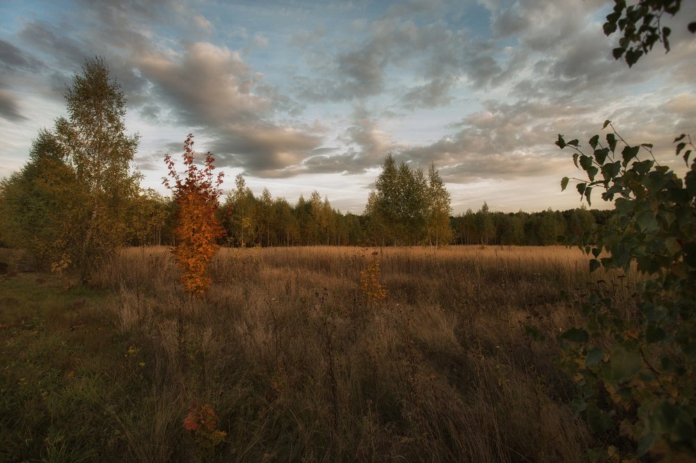 Photograph by Сергей Бибиков